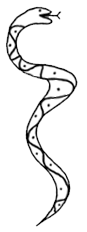 snake1